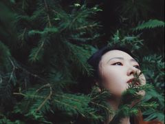 -南山植物园
