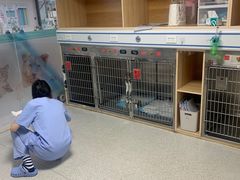 -谐和贝康宠物医院24小时·宠保定点(急重症转诊中心)
