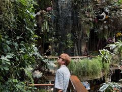 -正佳雨林生态植物园