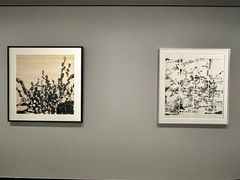 -中国美术学院-美术馆