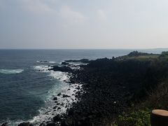 -涉地可支