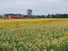 -中国天府农业博览园