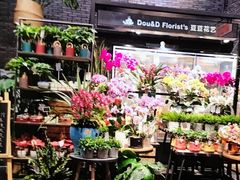 -豆豆花艺(新光天地店)