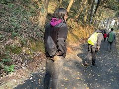 -午潮山国家森林公园