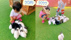 -萌宠亲子动物乐园(槐房万达店)