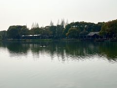 -新洲生态园
