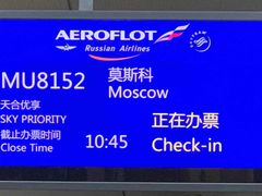 -谢列梅捷沃国际机场