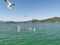 -丽江泸沽湖景区