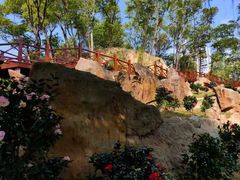 -深圳国际园林花卉博览园