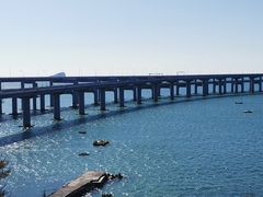-星海湾跨海大桥