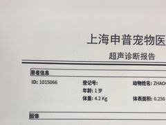-申普宠物医院(总院)