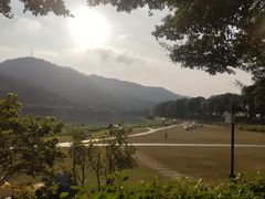 -风云岭森林公园