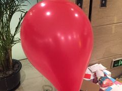 -上海龙之梦万丽酒店