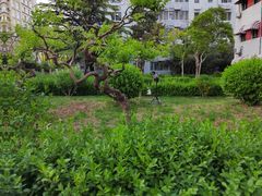 -北京科技大学-游泳馆