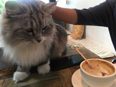 -小时光咖啡馆(北锣鼓巷店)