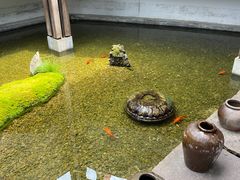 -几荷·恰似故人来(秀水广场店)