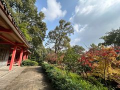 -南山植物园