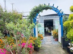 -龙大花卉苗木市场