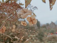 -山王坪喀斯特国家生态公园