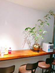 -Yue Show馨选·半永久纹眉纹眼线