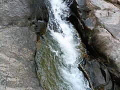 -广州白江湖森林公园