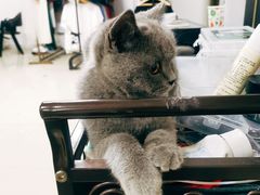 -iF摄影•全家福•证件照•形象照(南山店)