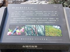 -贡湖湾湿地公园