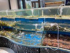-四海蒸鲜蒸汽海鲜自助(北戴河店)