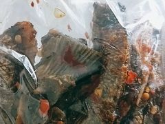 -卤师傅常德酱板鸭三十年老店
