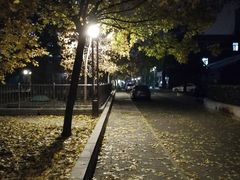 -中央民族大学