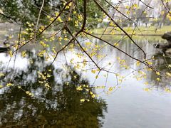-玄武湖景区