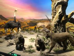 -国家自然博物馆