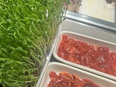 -海底捞火锅(奥森店)