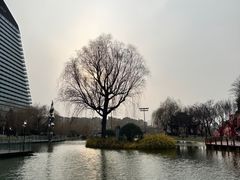 -西安曲江寒窑遗址公园