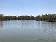 -东郊湿地公园