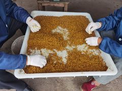 -苏州市吴中区光福窑上花果蜜饯厂