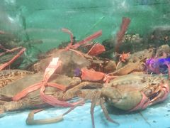 -王庄阿咪海鲜大排档(象园店)
