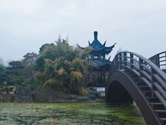 -朴园
