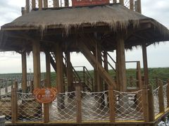 -北海金海湾红树林生态旅游区