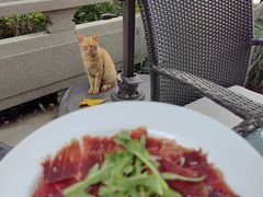 -杭州西子湖四季酒店-WL BISTRO西湖餐厅(灵隐路店)
