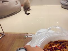 -胖哥俩肉蟹煲(石家庄长安万达店)