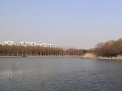 -昆山城市生态森林公园