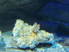 -沈阳海洋探索中心