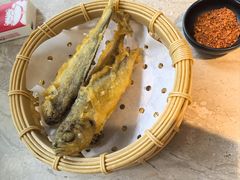 -佬肥猫(七宝宝龙店)