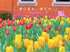 -徐家汇公园