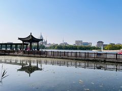-莲花池公园