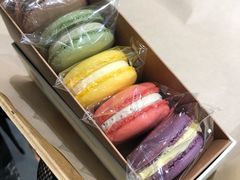 -多乐之日(富力城店)