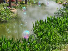 -人民公园(罗湖区)