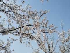 -堤角公园