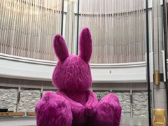 -大连金石滩绿发温泉假日酒店